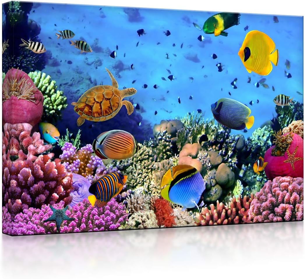 lightbox multicolor | Bilder mit LED Beleuchtung | Bunte Fische über Korallenriff | 100x70 cm | Fron