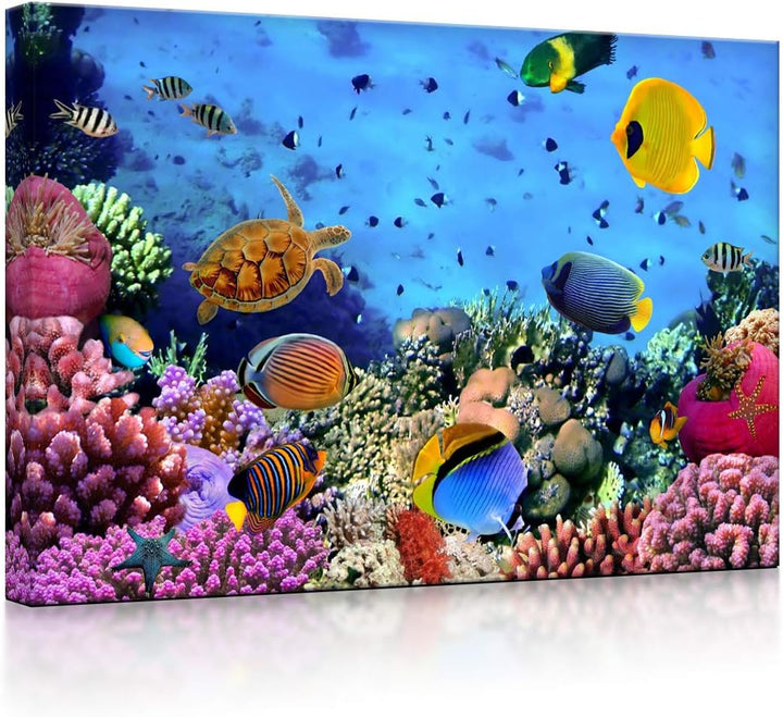 lightbox multicolor | Bilder mit LED Beleuchtung | Bunte Fische über Korallenriff | 100x70 cm | Fron