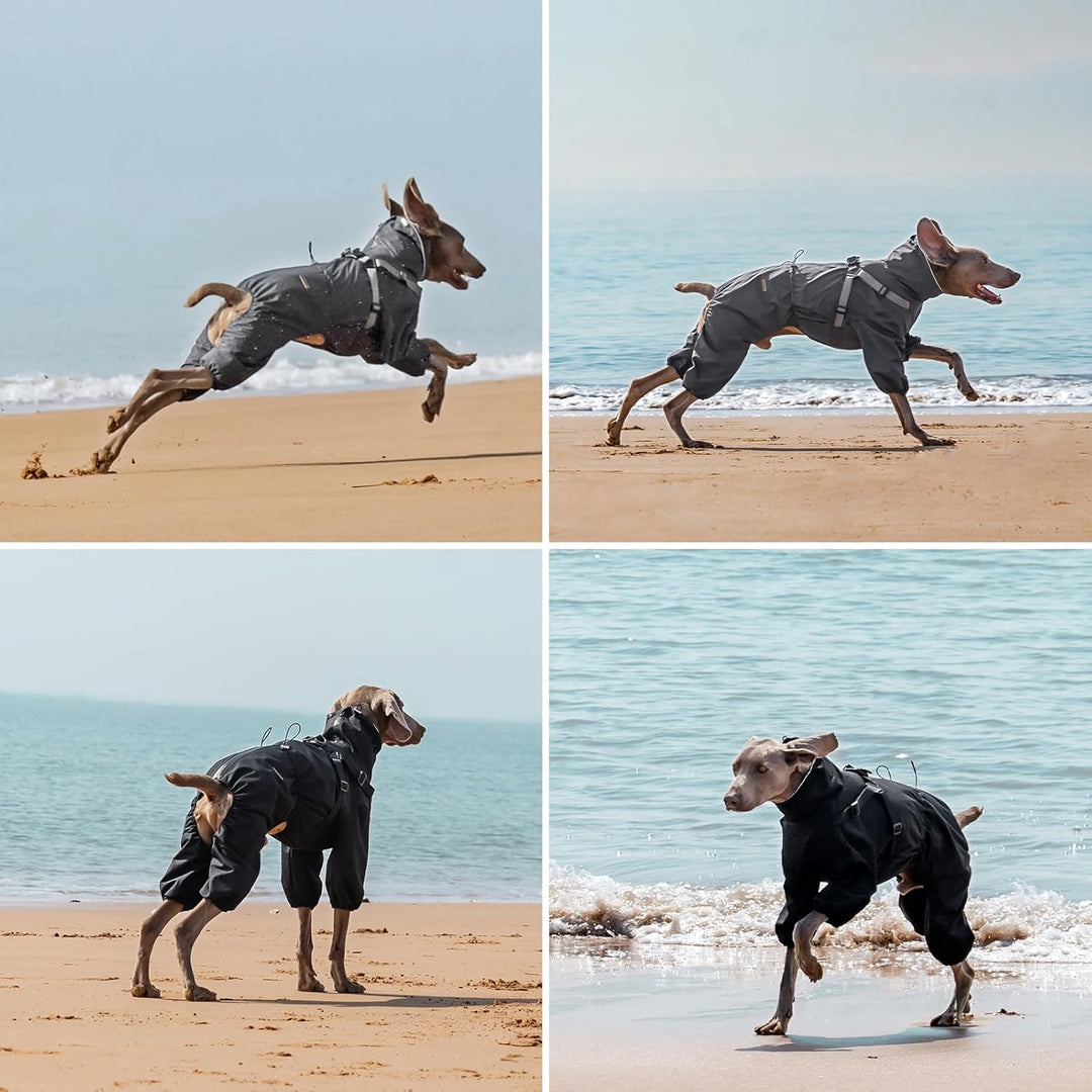 Regenmantel Hund mit Geschirr Wasserdicht für Kleine, Mittlere und Grosse Hunde, Reflektierender Reg