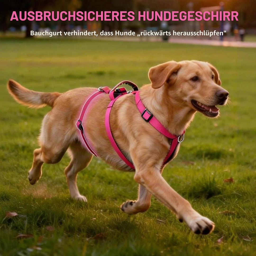 Hundegeschirr Ausbruchsicher, Anti Zug Sicherheitsgeschirr Hund, Verstellbare Brustgeschirr mit Grif