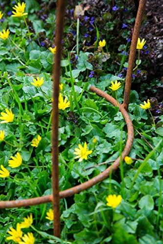 KUHEIGA Stabiler Staudenhalter Rost H: 60cm, Volleisen Strauchhalter, Rankgerüst,