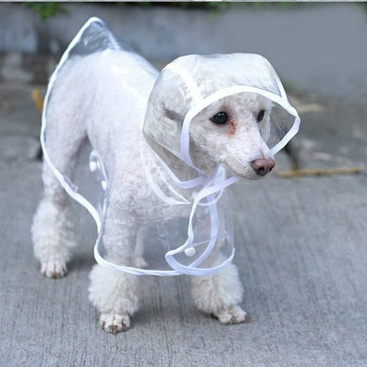 KoKoBin Reflektierender Mantel für Hunde und Katzen mit Kapuze, verstellbar, PVC, transparent, wasse