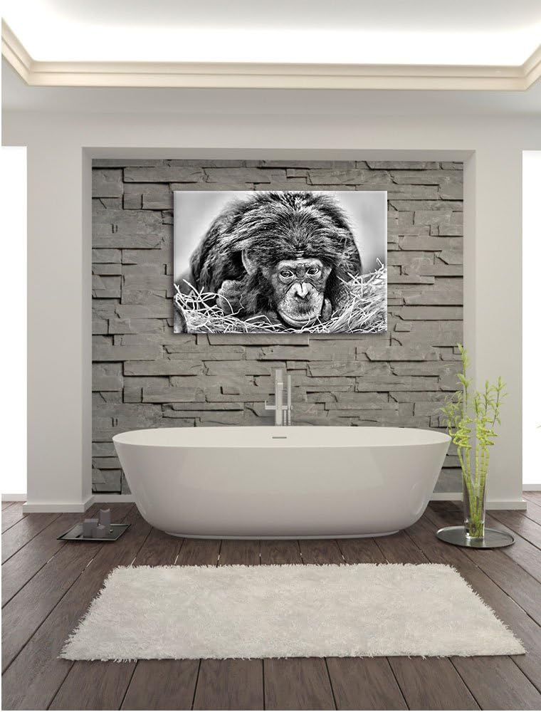 Pixxprint Kleiner Schimpanse im Heu / 100x70cm Leinwandbild bespannt auf Holzrahmen/Wandbild Kunstdr