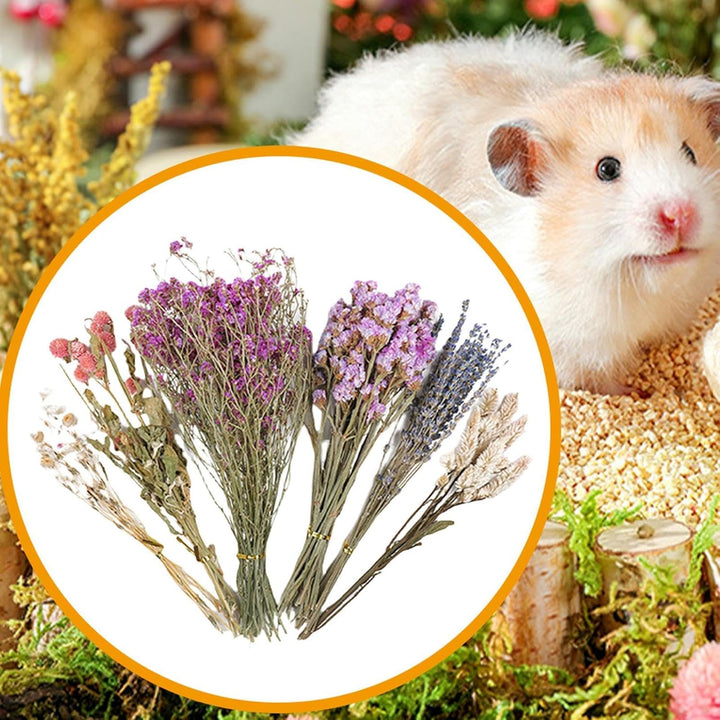 Natürliche und weiche Hamster-Bettwäsche Mate Natürliche Hamster-Bettwäsche Blumen Kleintier-Blumen