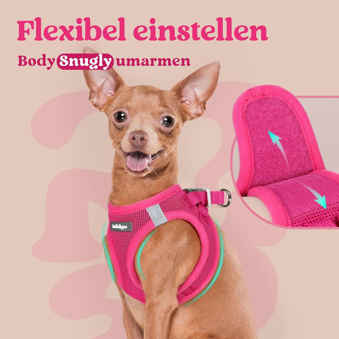 rabbitgoo Hundegeschirr Kleine Hunde, Step-in Welpengeschirr Weich Mesh für Spaziergänge, Atmungsakt