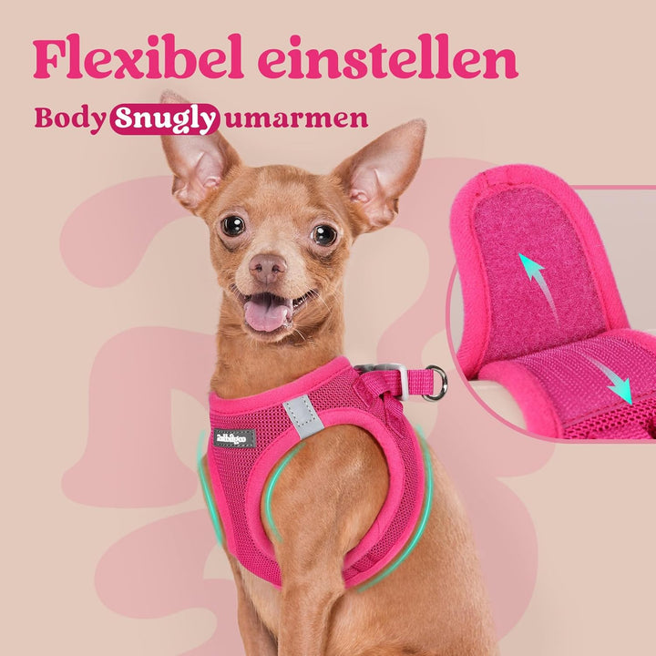 rabbitgoo Hundegeschirr Kleine Hunde, Step-in Welpengeschirr Weich Mesh für Spaziergänge, Atmungsakt