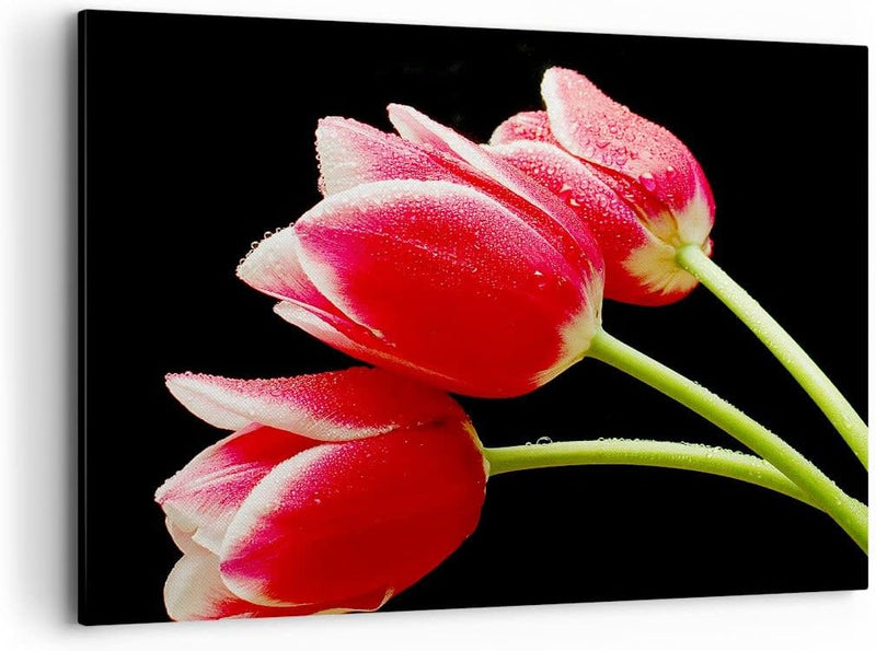 Bilder auf Leinwand 100x70cm Leinwandbild Tulpe garten blume blumenstrauss Gross Wanddeko Bild Schla