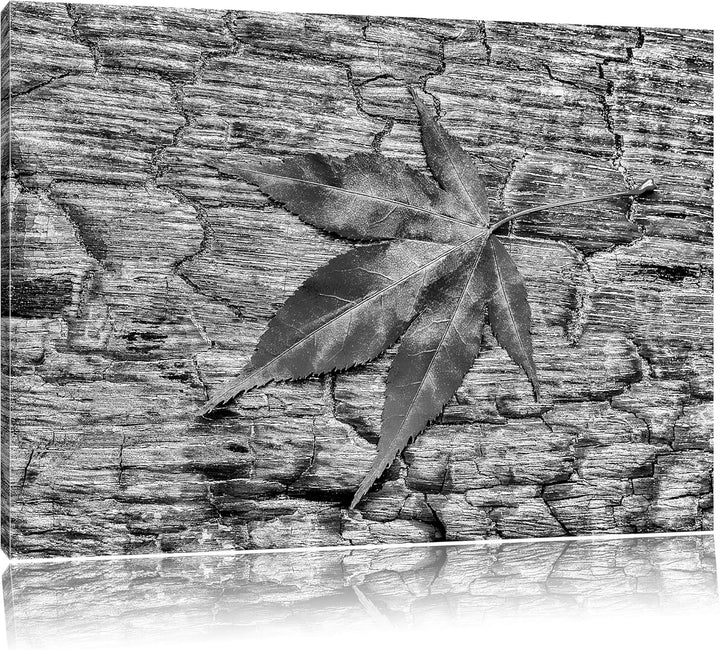 Pixxprint Monocrome, Rotes Blatt auf Holz, Laub, Natur, Format: 100x70 auf Leinwand, 100x70