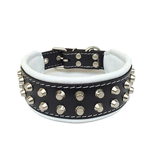 Bestia™ "Rocky Echtleder Hundehalsband mit Stumpfnieten. 100% Leder. Weich gepolstert. TOP Qualität!