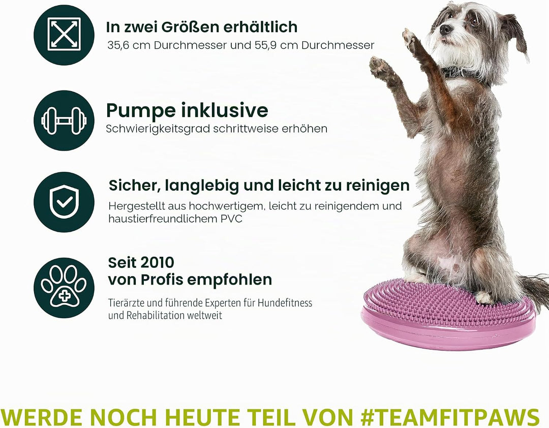 Fitpaws Balance-Disc für Hunde, 14", Violett