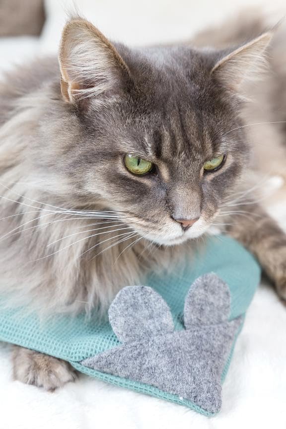 Kater Kasimir MAUSBERT 2-in-1 Kuschelkissen und Katzenspielzeug Maus in Einem! 4er Set mit Bio-Katze
