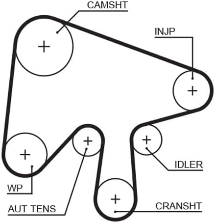 GATES Steuerriem 5630XS