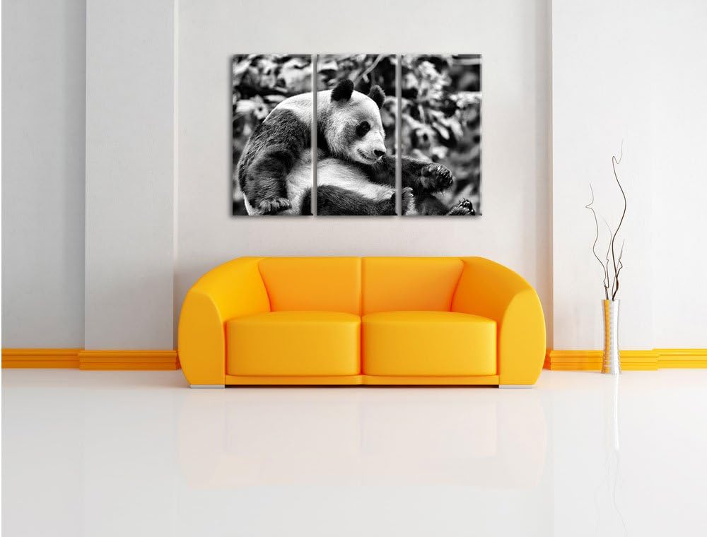 Pixxprint Monocrome, niedlicher Pandabär 3-Teiler Leinwandbild 120x80 Bild auf Leinwand