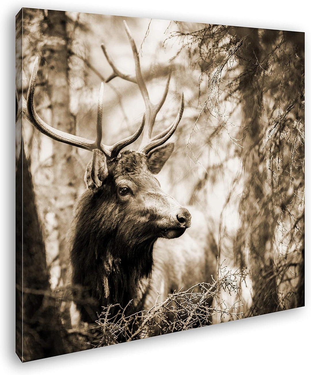 deyoli edler Hirsch im Wald Format: 60x60 Effekt: Sepia als Leinwandbild, Motiv fertig gerahmt auf E