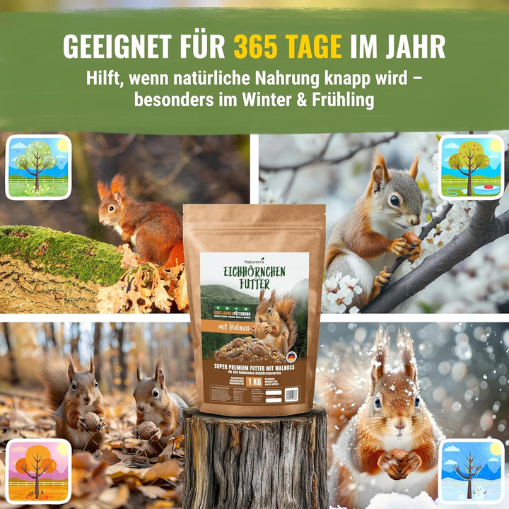 Eichhörnchenfutter 1 kg für Eichhörnchen & Streifenhörnchen I Ganzjahres-Futter Eichhörnchen, Streif