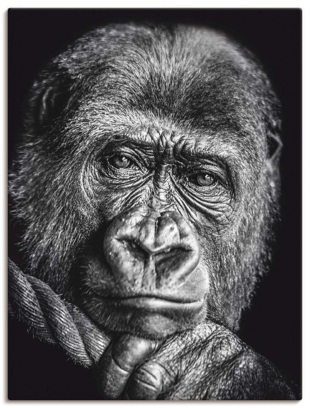 ARTland Leinwandbilder Wandbild Bild auf Leinwand 30x40 cm Wanddeko Gorilla Porträt Tiere Affe Asien