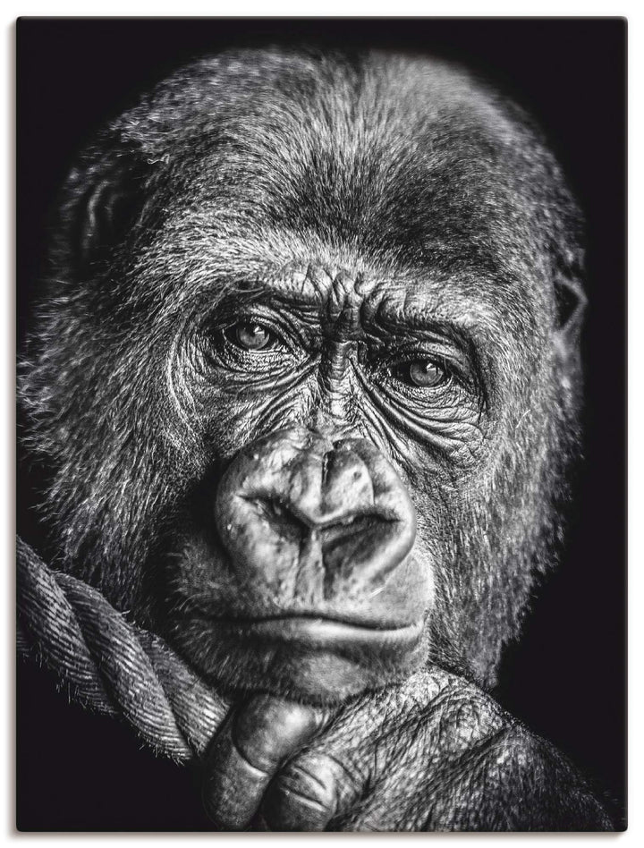 ARTland Leinwandbilder Wandbild Bild auf Leinwand 30x40 cm Wanddeko Gorilla Porträt Tiere Affe Asien