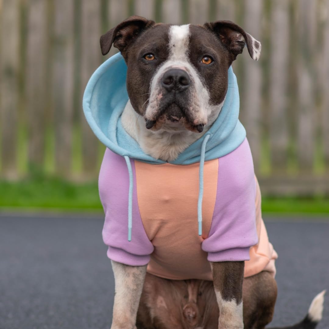 Spark Paws Hunde Hoodie Sweatshirt Pullover - Premium Qualität, weich, Komfortabel und passend für g