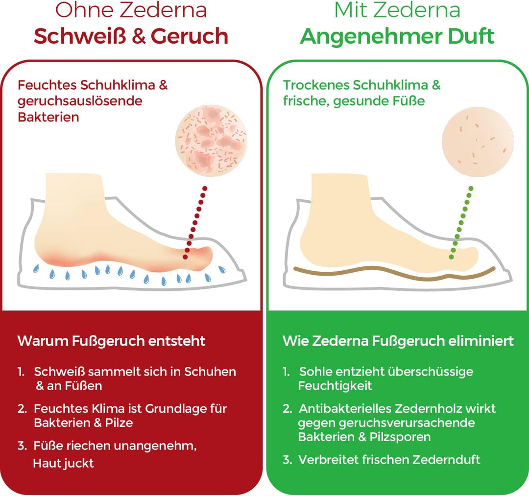 Zederna® 3 Paar Zedernholz Schuheinlagen Schweissfüsse, Einlegesohlen Herren & Damen gegen Fusspilz.