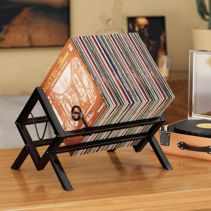EKNITEY vinyl schallplatten aufbewahrung für 80–100 LPs metall lp Schallplattenständer einfach zu mo