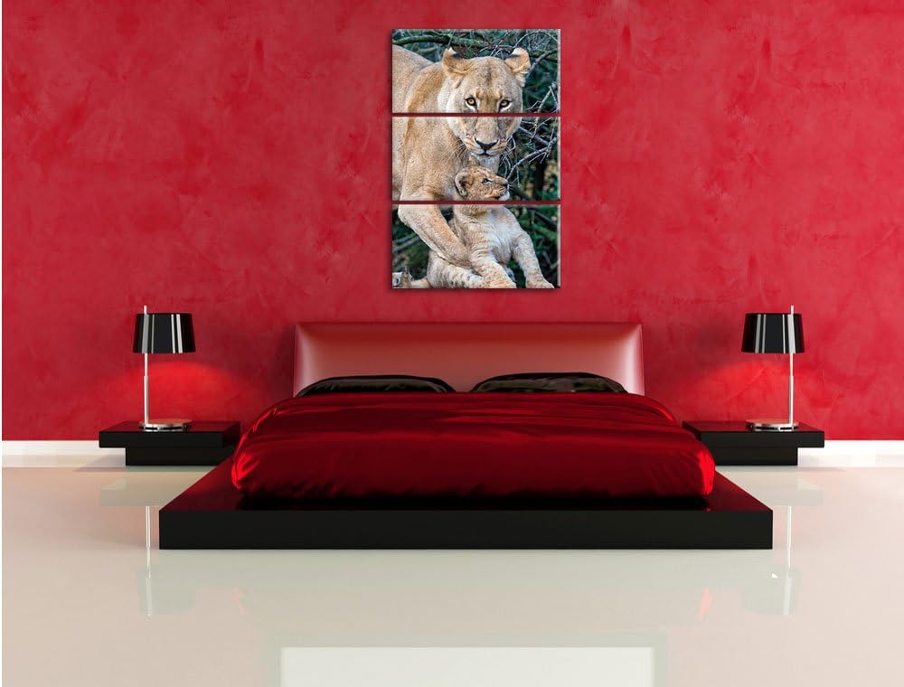 Pixxprint Löwin spielt mit Jungtier 3-Teiler Leinwandbild 120x80 Bild auf Leinwand