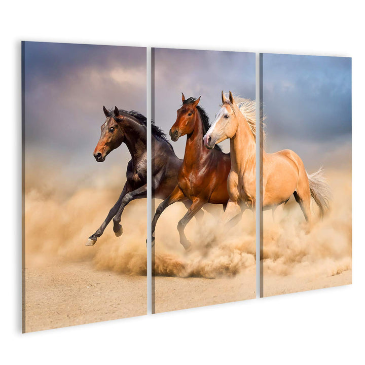 Bild auf Leinwand Pferdeherde DREI Pferde Laufen Staub Wandbild Poster Kunstdruck Bilder Format: 130