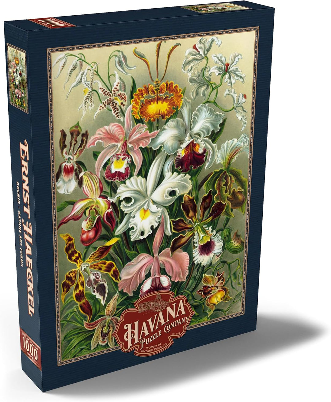 Orchidee - Kunstformen der Natur, Vintage Art Poster, Ernst Haeckel - Premium 1000 Teile Puzzle - My