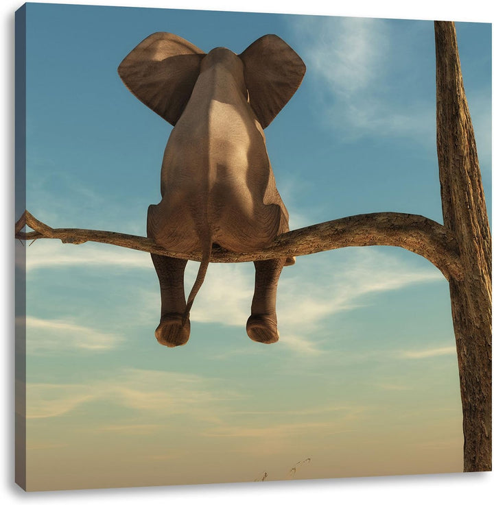 Pixxprint Elefant auf einem AST in der Wüste als Leinwandbild/Grösse: 70x70 cm/Wandbild/Kunstdruck/f