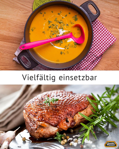 Original Gundel GUSS-BRATEN-TOPF INDUKTION, Ø 28 cm, Höhe 10,5 cm, Bräter mit BIOTAN-Oberfläche, bac