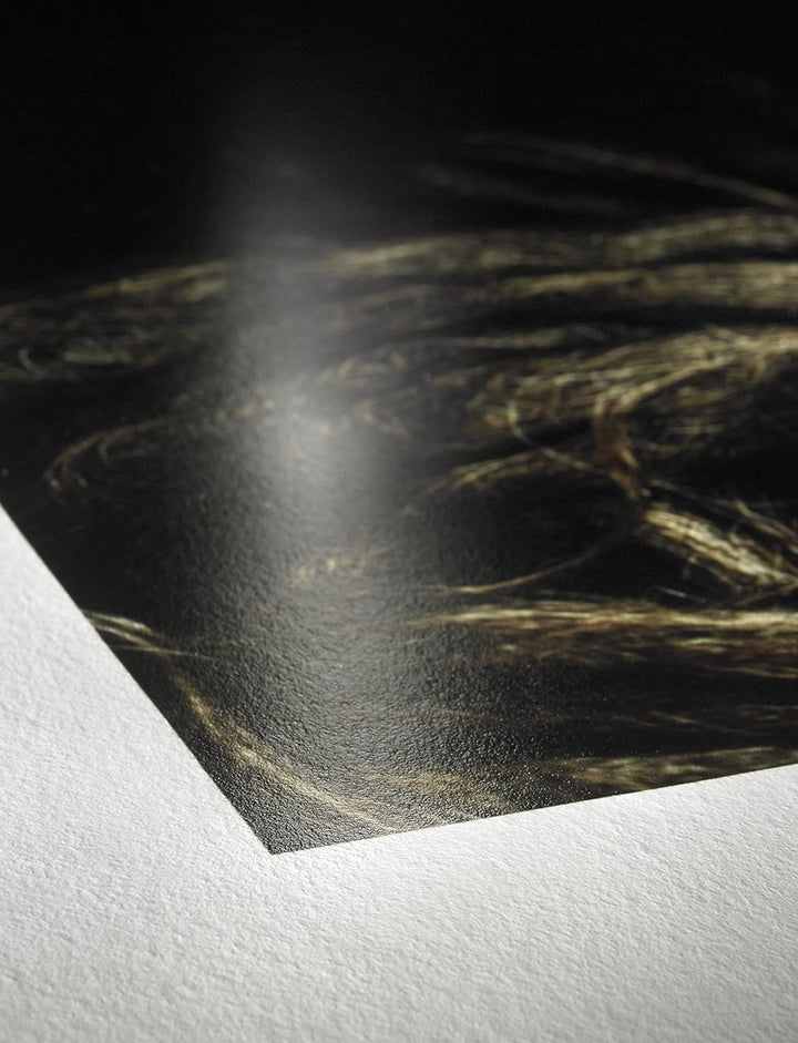 Hahnemühle 10641663 Digital FineArt Photo Rag Baryta Papier, 315 g/m², DIN A4, 210 x 297 mm, weiss