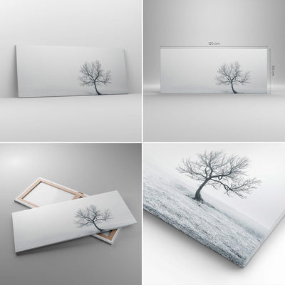 Wandbilder Dekoration Wohnzimmer Baum Feld Natur Panorama Bilder auf Leinwand 120x50cm Leinwandbild