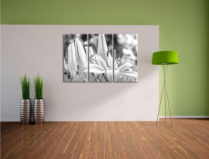 Pixxprint schöne orangene Lilien Kunst B&W als Leinwandbild/Grösse: 3 Teilig (120x80) / Wandbild/Kun