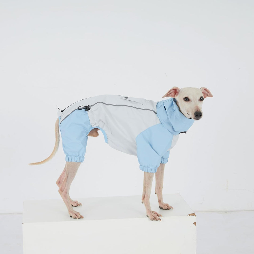 Dackel Regenmantel, wasserdichte 4-Bein Hundejacke, Leichter Outdoor Windbreaker für Mini Dackel(M(6