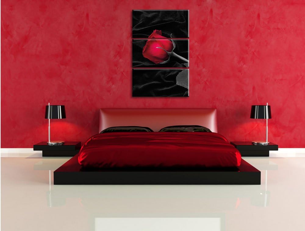 Pixxprint rote Rose gebettet auf schwarzem Samt als Leinwandbild/Grösse: 3 Teilig (120x80 cm) cm/Wan