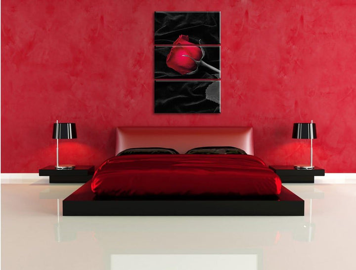Pixxprint rote Rose gebettet auf schwarzem Samt als Leinwandbild/Grösse: 3 Teilig (120x80 cm) cm/Wan