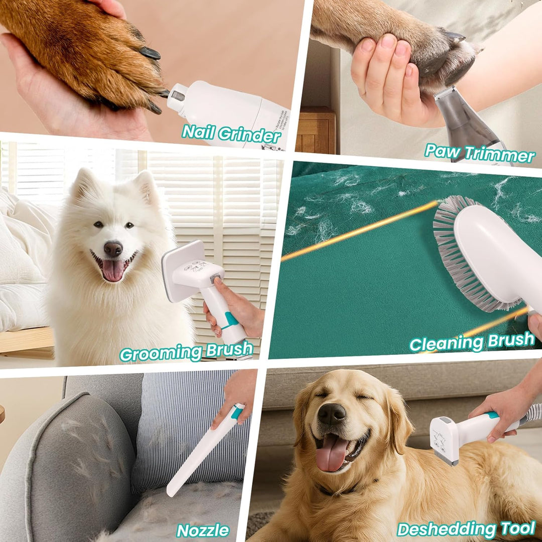 Hundeschermaschine mit Staubsauger, 13000PA Schermaschine Hund mit 7 Pflegewerkzeugen, Pfotentrimmer