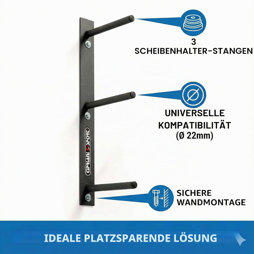 Wandscheibenhalter, Hantel Halterung, Gewichtshalter, platzsparend, für Fiteness Body Buildyng Home