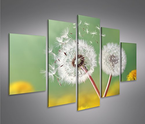 islandburner Bild Bilder auf Leinwand Pusteblume V2 Natur Blumen MF XXL Poster Leinwandbild Wandbild