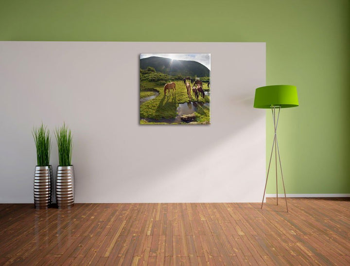 Pferde auf Wiese, Format: 70x70 auf Leinwand, XXL riesige Bilder fertig gerahmt mit Keilrahmen, Kuns