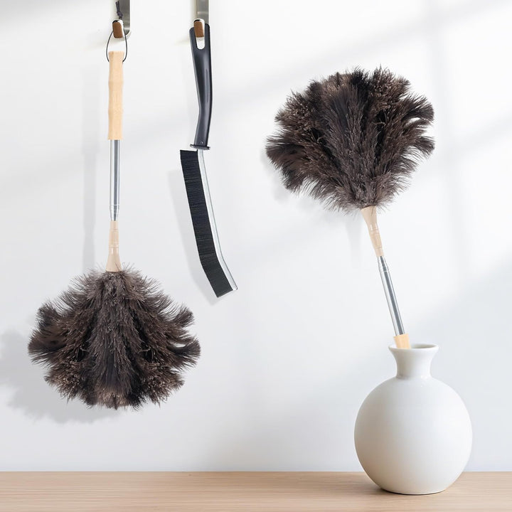 Staubwedel Straussenfedern, Staubwedel Teleskop Waschbar, Ausziehbar bis 125cm für Decken & empfindl
