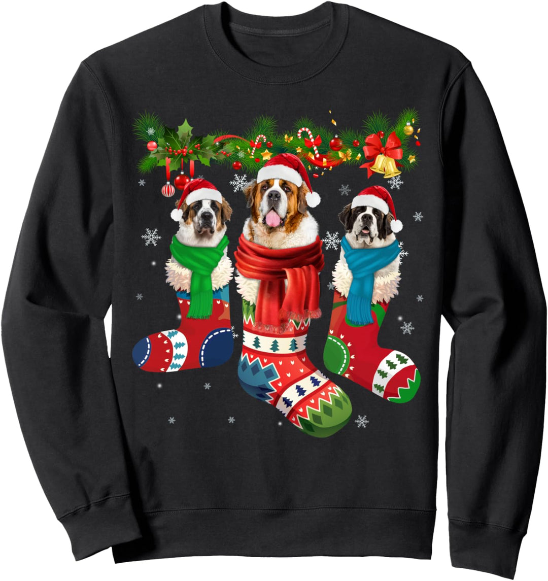 Bernhardiner in Weihnachts-Socken. Sweatshirt