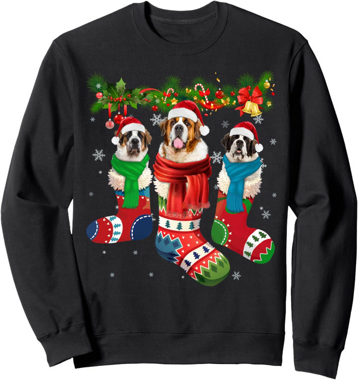 Bernhardiner in Weihnachts-Socken. Sweatshirt