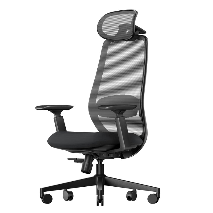ProtoArc EC200 Bürostuhl Ergonomisch, Schreibtischstuhl mit Höhen- und Tiefenverstellbarer Lendenwir