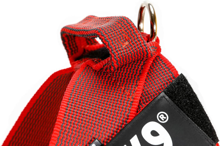 Julius-K9, Color & Gray, Beltgeschirr L / 1 rot-grau, L / 1 rot-grau