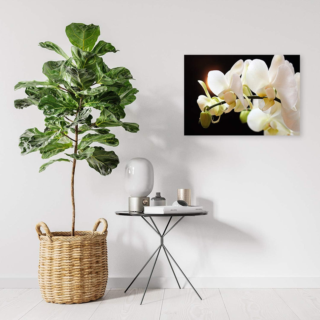 Feeby Wandbild Blumen Druckbild Leinwandbild für Schlafzimmer Weiss 100x70 cm Leinwandbild 100x70 cm