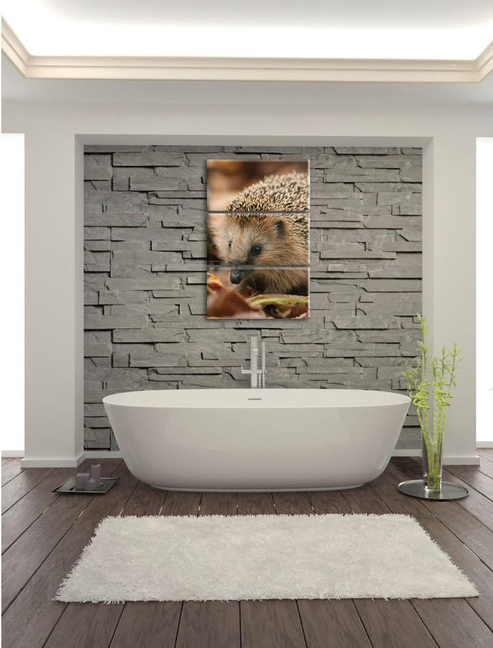Pixxprint Kleiner Igel als Leinwandbild/Grösse: 3 Teilig (120x80) cm/Wandbild/Kunstdruck/fertig besp