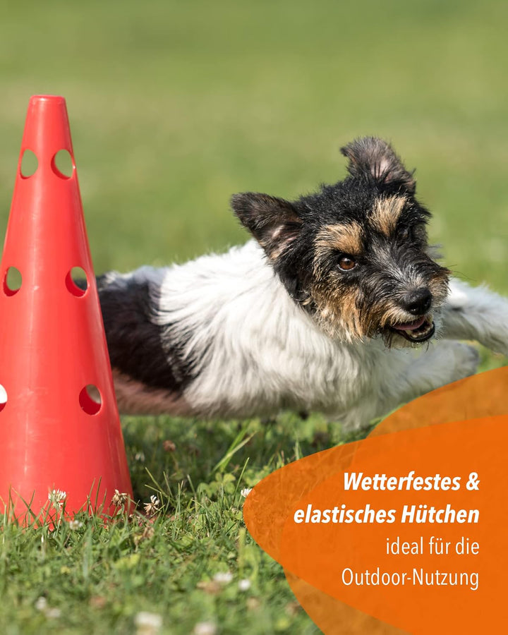 5 x Parcours-Hürde – Kegel-Hindernis für Agility Training – Steckhürden für Hund, Sport, Pferd &amp; Kin