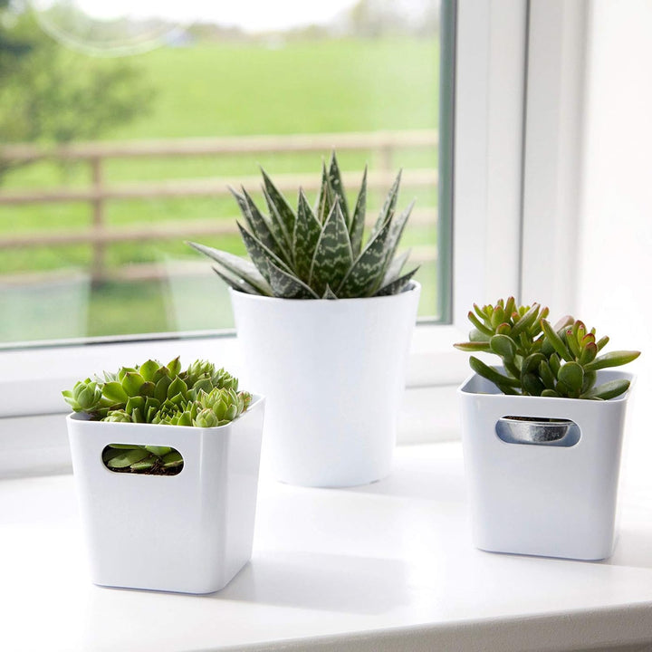12x Ordnungsboxen - 10 cm hoch - WEIss - 10x10x10cm - 720 ml - Ordnungskorb - Schubladenorganizer Sc