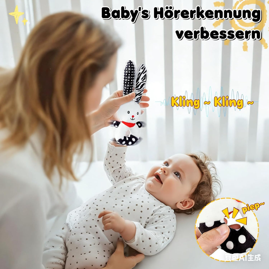 Kontrastkarten Baby - Montessori Baby Spielzeug 0-12 Monate, Greifring, Beissring und Aufbewahrungst