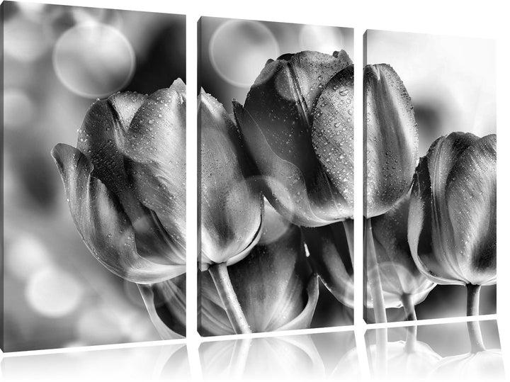 Pixxprint Rote Tulpen als Leinwandbild | Grösse: 3 Teilig (120x80) | Wandbild| Kunstdruck | fertig b